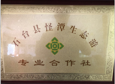 专业合作社